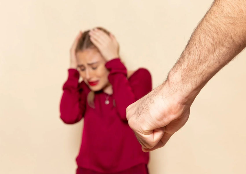 Delitos contra la vida Delitos Contra la Vida